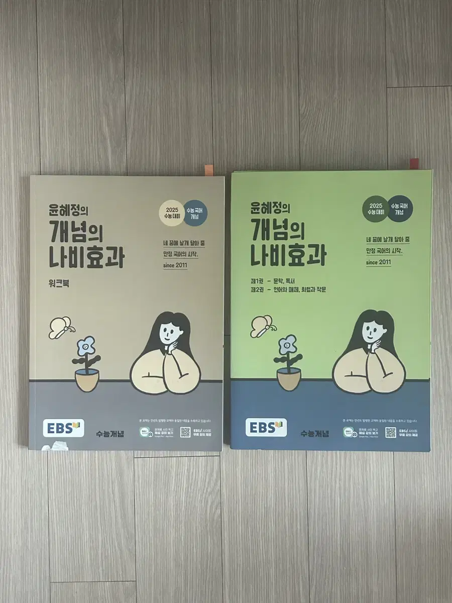 윤혜정 개념의 나비효과